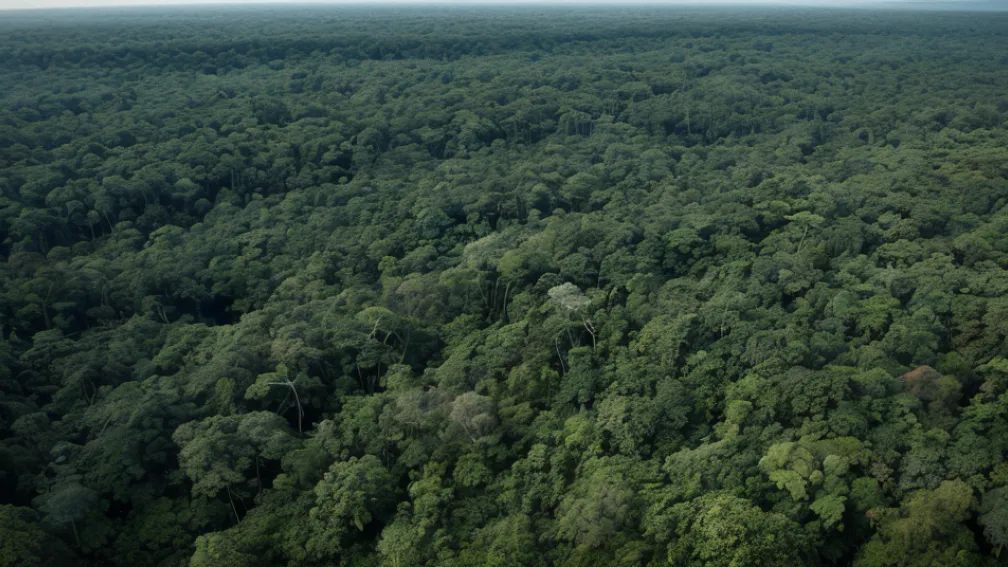 Un elicopter cu opt persoane la bord a dispărut în insula Borneo din Indonezia