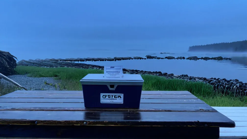 Graham Platner: Candidatul Democrat la Senatul SUA care Provocă Normele Politice