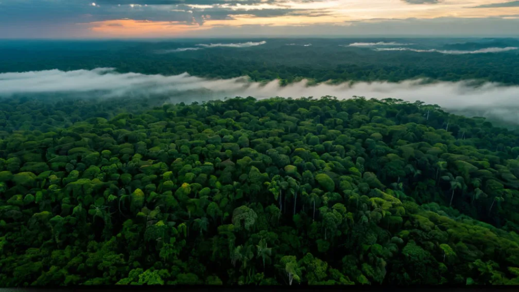 Discuțiile ONU privind clima intră în faza decisivă: Miniștrii preiau frâiele la COP30