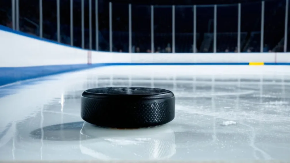 Meci de hochei non-conferință: Florida Panthers înfruntă Vancouver Canucks