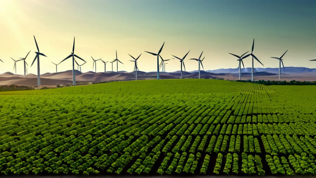 Summitul climatic ONU din Brazilia: Progrese timide și provocări persistente în lupta globală