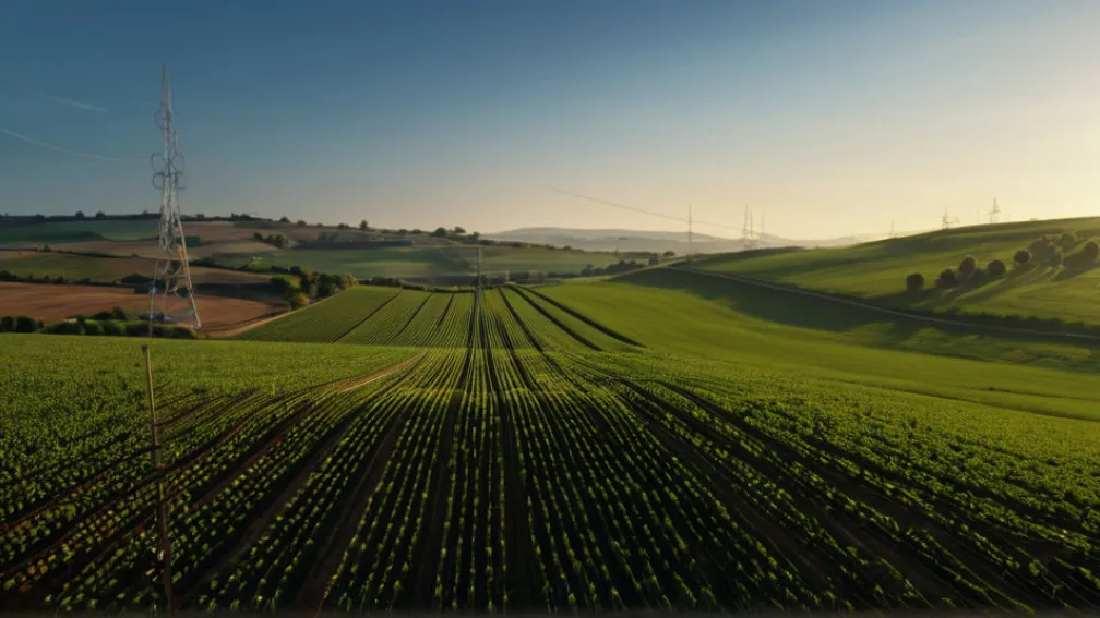 Texas primește mult mai puțini bani federali pentru internetul rural: Dezamăgire profundă