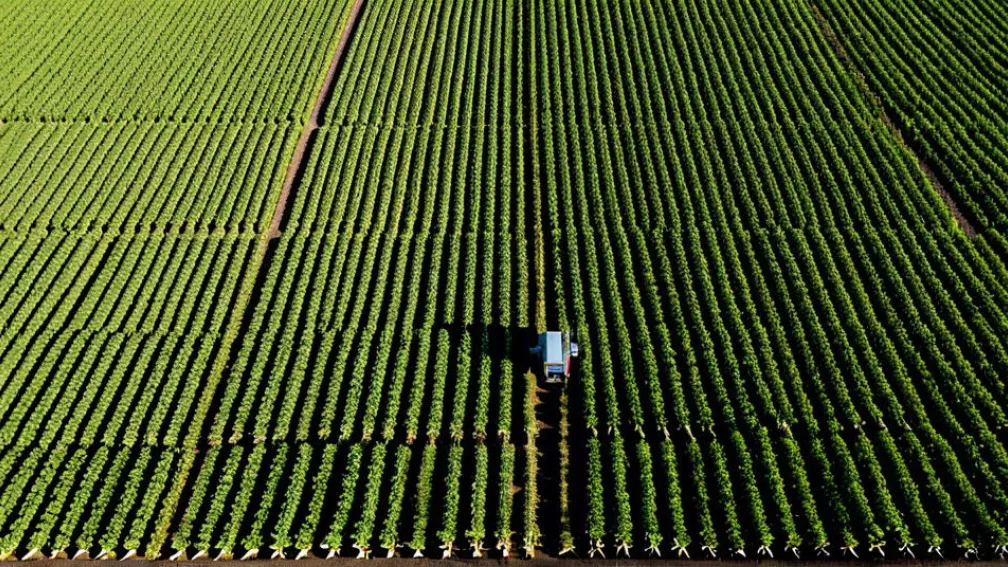 Aplicarea tehnologiilor inteligenței artificiale în agricultură