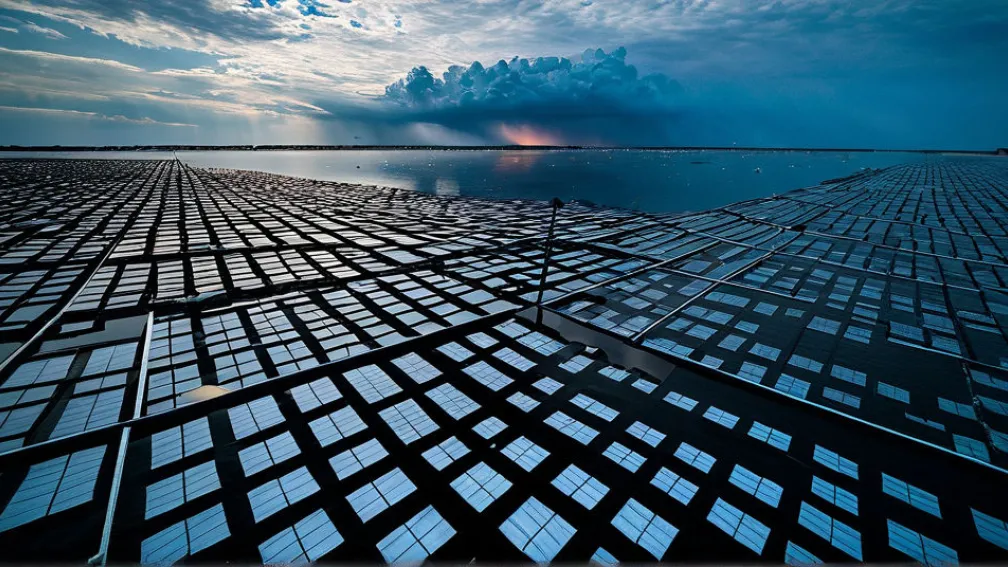 Schimbările climatice: Consecințe globale și soluții