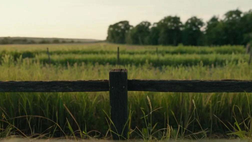 Granița Incertă Dintre Michigan și Indiana: O Problemă care Așteaptă o Soluție