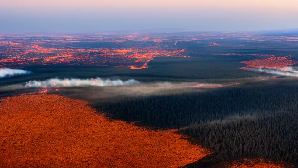 Incendii de vegetație în Coreea de Sud: 4 morți și pagube majore