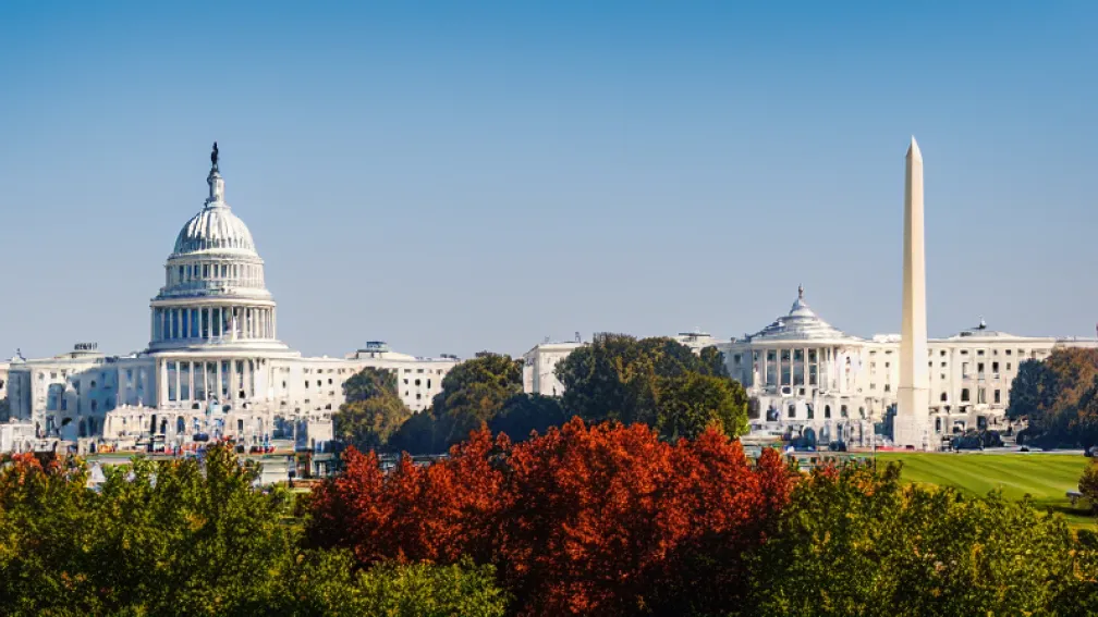 Cireșii înfloriți din D.C.: O oază de liniște