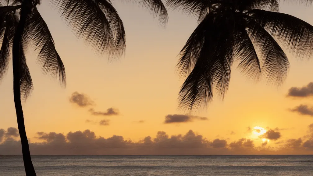 Hawaii intenționează să crească taxa hotelieră pentru a face față schimbărilor climatice