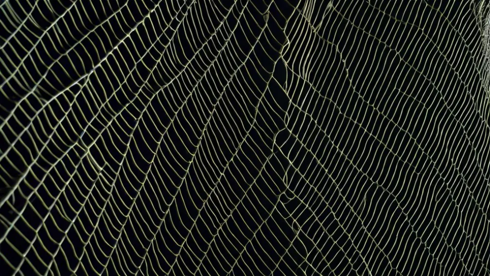 Criza Ajutorului Alimentar SNAP: Milioane de Americani Așteaptă Beneficii pe Fondul Blocajului Guvernamental