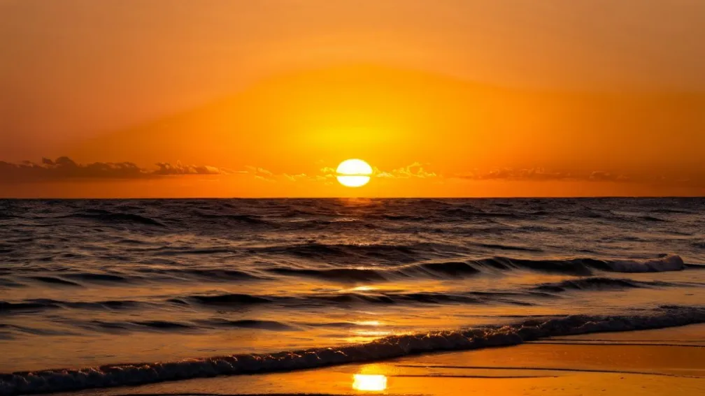 Ziua lui Martin Luther King pentru Bernice: 'Un spațiu de viață'