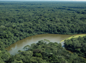 Amazonia a pierdut pe cronicarul său principal: A încetat din viață renumitul Sebastian Rodrigues