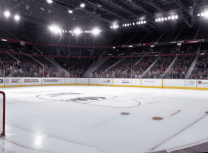 Rocky Wirtz, președintele clubului NHL "Chicago Blackhawks", a încetat din viață la 70 de ani