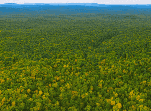 New York City oprește achizițiile de terenuri în Catskills: este suficient pentru a proteja alimentarea cu apă?