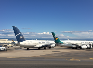 Aeroportul din Washington suspendă parțial zborurile din cauza unei parade militare asociate cu Trump
