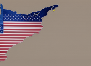 Alegeri speciale în Tennessee pentru un loc în Congresul SUA: Republicanii și Democrații pregătesc candidații