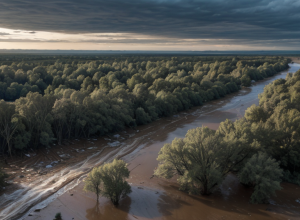 Inundații devastatoare în Texas: Râul Guadalupe a ieșit din matcă, operațiuni de căutare în desfășurare