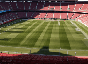 Brock Purdy se întoarce: Quarterback-ul 49ers pregătit pentru meciul cu Arizona