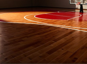 Baschet universitar: Denver Pioneers înfruntă Colorado State Rams după performanța lui Johnson