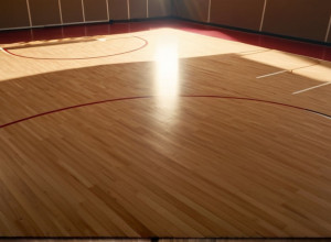 Victorie convingătoare pentru FGCU în fața Chattanooga cu 91-73 la baschet