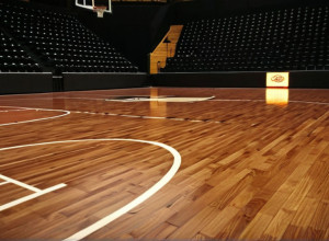 Confruntare pe terenul de baschet: SIU-Edwardsville Cougars înfruntă Eastern Kentucky Colonels