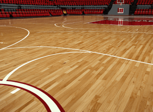 Startul Sezonului NCAA: Ohio State Buckeyes primește vizita echipei IU Indianapolis Jaguars