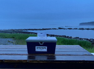 Graham Platner: Candidatul Democrat la Senatul SUA care Provocă Normele Politice