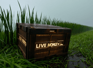 Evadarea Maimuțelor de Cercetare din Mississippi: O Privire în Lumea Secretă a Experimentelor pe Animale