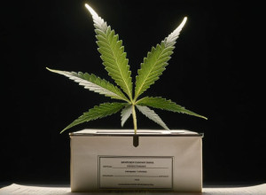 Locuitorii din Michigan Votează pentru Restricționarea Magazinelor de Cannabis