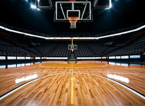 Meechie Johnson, un record de carieră de 33 de puncte, a condus South Carolina către victorie în prelungiri