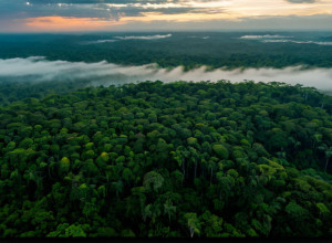 Discuțiile ONU privind clima intră în faza decisivă: Miniștrii preiau frâiele la COP30