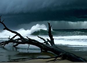 Furtună puternică lovește California de Sud: Inundații, evacuări și victime