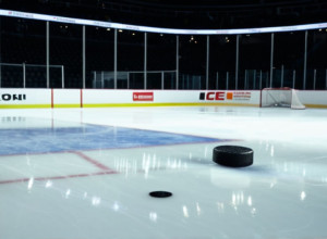 Senators din Ottawa înving Mammoth din Utah cu 4-2, Merilainen strălucind cu 29 de parade