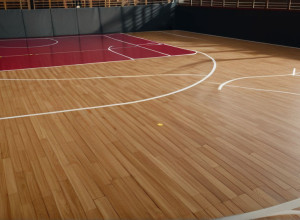 NC State Wolfpack înfruntă UNC Greensboro Spartans într-un meci amical de baschet