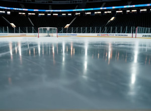 Confruntare în Conferința de Vest: St. Louis Blues primește vizita Calgary Flames