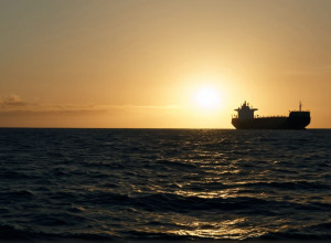 Șeful IMO susține taxa pe emisii în transportul maritim la COP30, în ciuda amânării