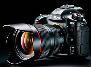 Articol de test în română