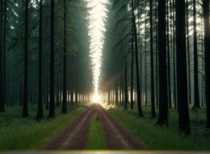 Belarus eliberează doi preoți catolici în urma discuțiilor cu Vaticanul