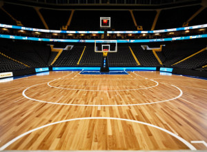 Le Moyne Dolphins își propun să învingă Niagara Purple Eagles și să pună capăt seriei de înfrângeri