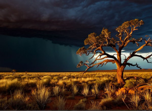 Medicii legiști: Extremiștii australieni care au ucis polițiști sufereau de tulburare delirantă partajată