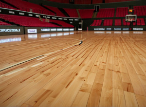 Victorie pentru Tennessee împotriva Rice (91-66), dar J.P. Estrella se accidentează