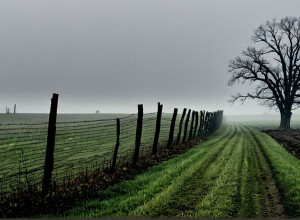 Bărbatul din Michigan acuzat de uciderea celor trei fii dispăruți în 2010 a apărut în instanță