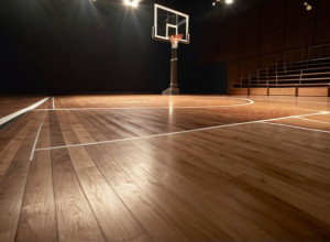 Illinois State a învins categoric Coastal Carolina în baschet