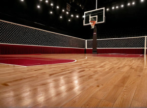 Meci de baschet: Lehigh Mountain Hawks înfruntă Marist Red Foxes