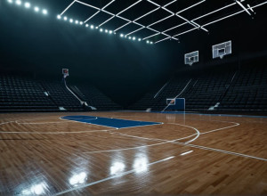 Siena învinge Albany (NY) cu 73-63, condusă de Tasman Goodrick