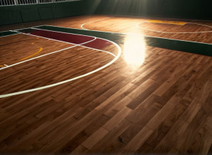 Baschet universitar: Bethune-Cookman Wildcats înfruntă Jacksonville Dolphins