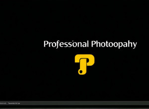 Primii pași în învățarea Python