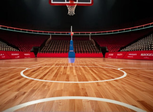 Illinois găzduiește LIU: Previzualizarea meciului de baschet universitar
