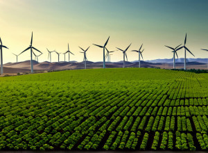 Summitul climatic ONU din Brazilia: Progrese timide și provocări persistente în lupta globală