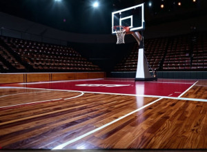 Baschet: South Carolina Gamecocks înfruntă Northwestern Wildcats