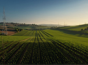 Texas primește mult mai puțini bani federali pentru internetul rural: Dezamăgire profundă